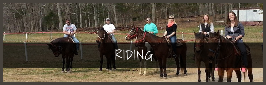 Chickamauga-Chattanooga-Horse-Riding-Trails-End-Ranch-Riding