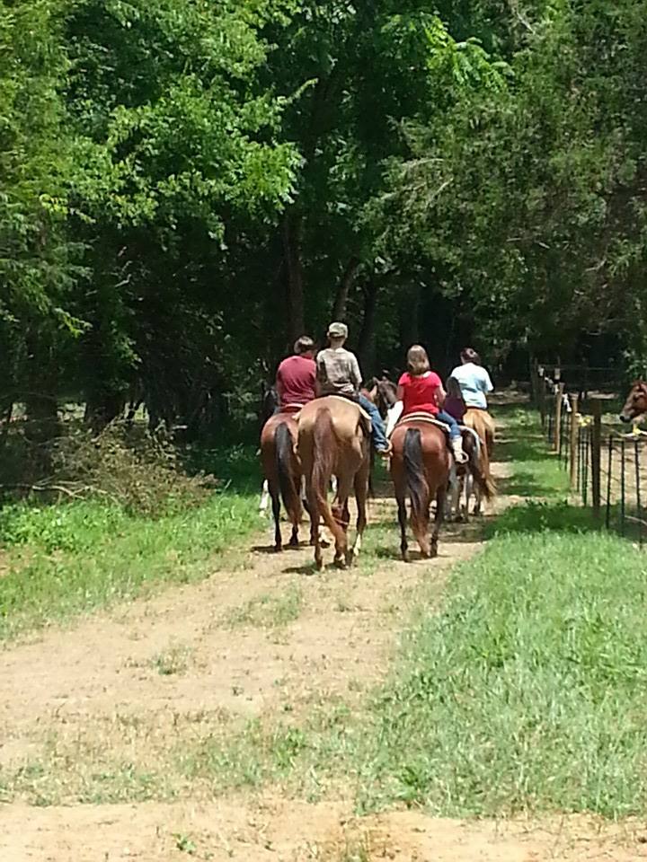 Chattanooga-Area-Horseback-Riding-Trails-End